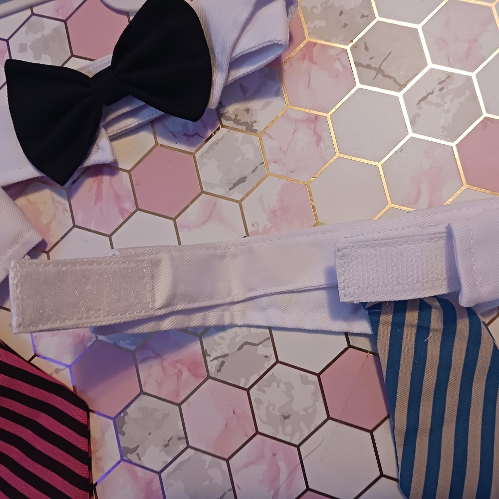 Cat collars - Picture 2 of 2